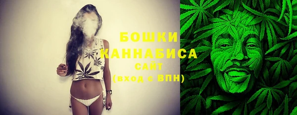 соль ск Богданович