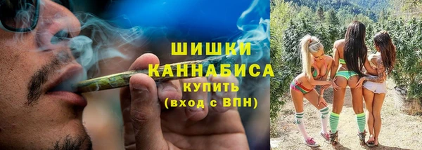 соль ск Богданович